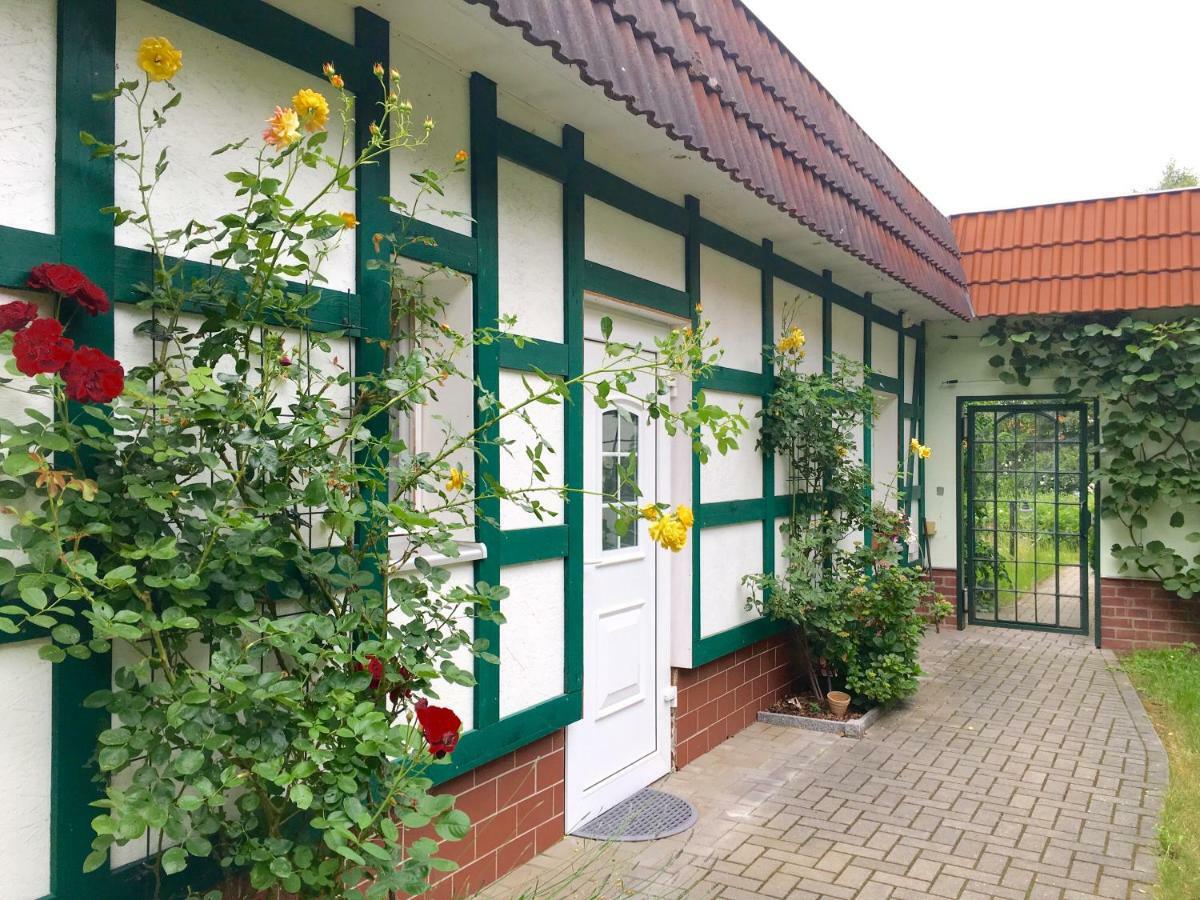 Pension Im Gruenen Eberswalde-Finow Exterior photo